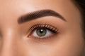Wimpern färben